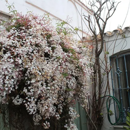 Casa Colonia * La Línea de la Concepción